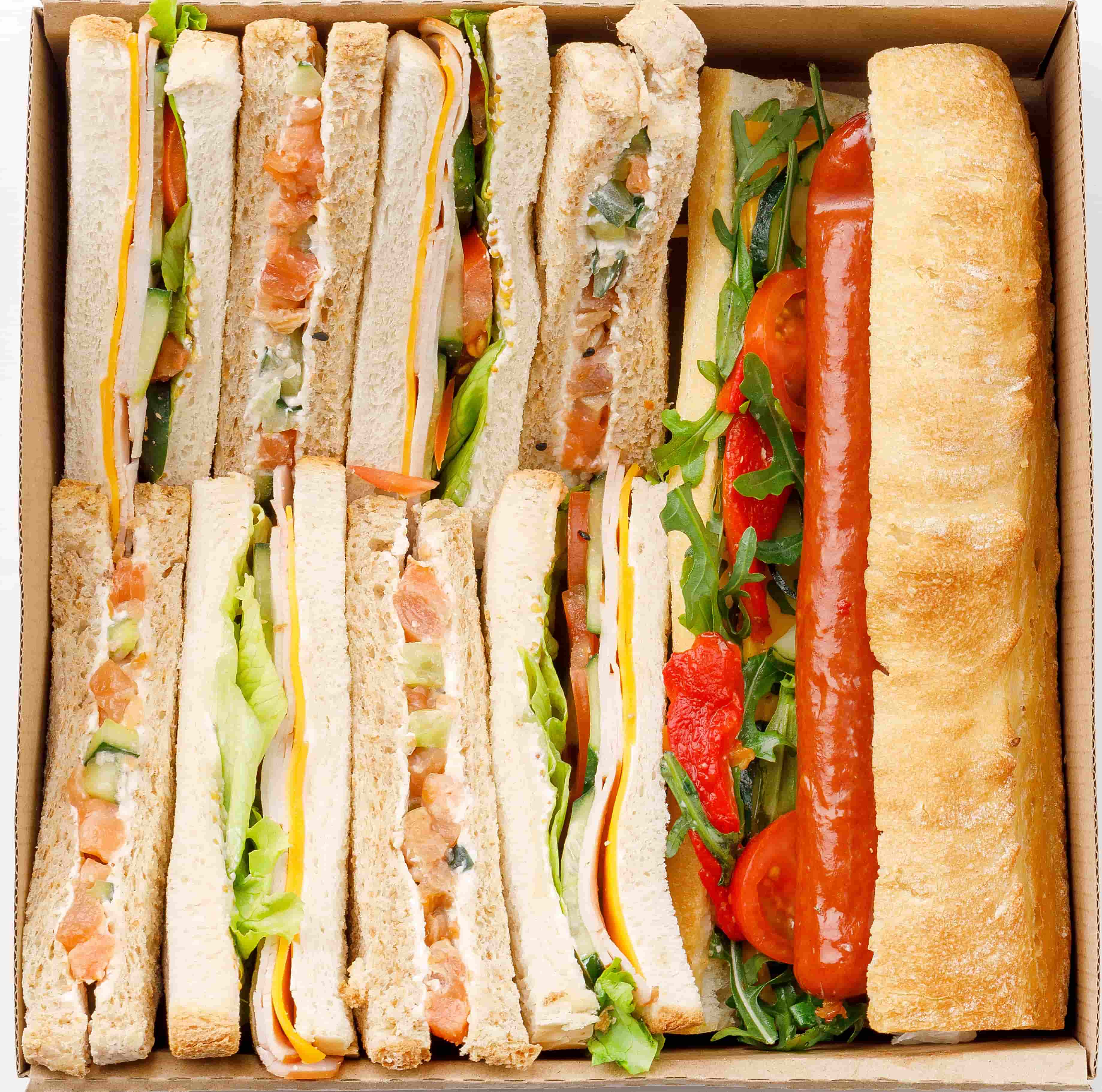  Sandwich  Egoist Box